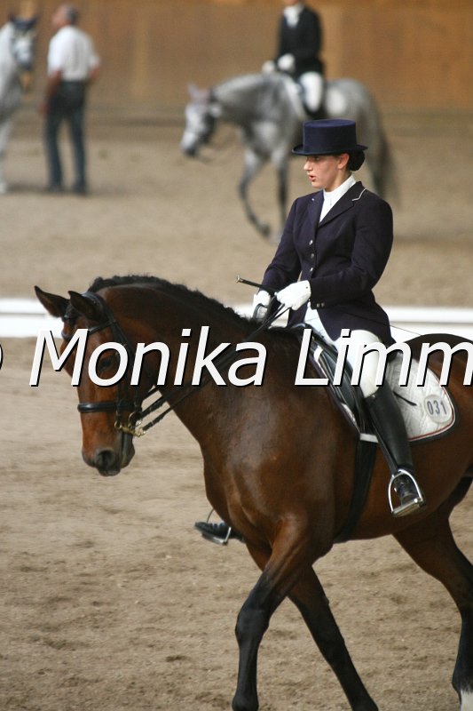 109L8647_Bolero_L Dressur.JPG